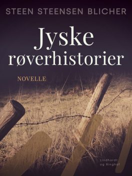 Jyske røverhistorier, Steen Steensen Blicher