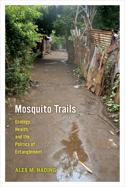 Mosquito Trails, Alex M. Nading