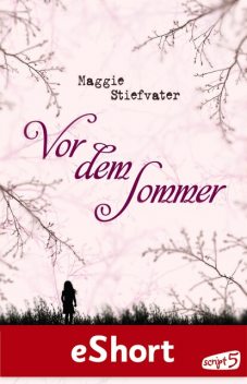 Vor dem Sommer, Maggie Stiefvater