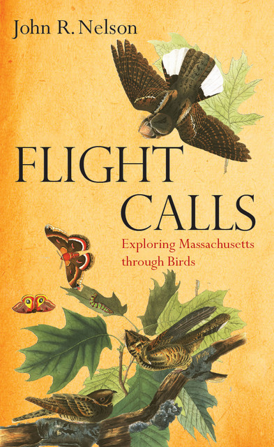 Flight Calls, John Nelson