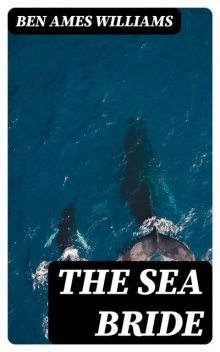 The Sea Bride, Ben Ames Williams