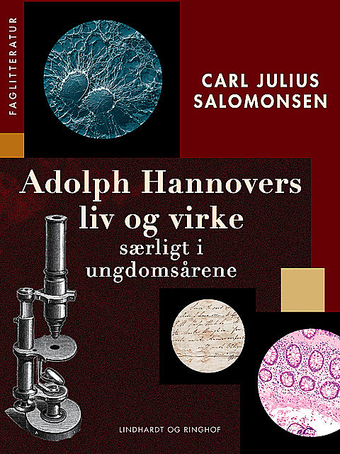 Adolph Hannovers liv og virke – særligt i ungdomsårene, Carl Julius Salomonsen