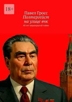 Полтергейст на улице вчк. 40 лет нераскрытой тайне, Павел Гросс
