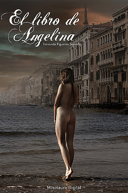 El libro de Angelina, Fernando Figueroa Saavedra