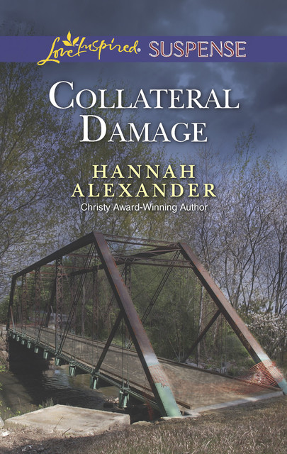 Collateral Damage, Hannah Alexander