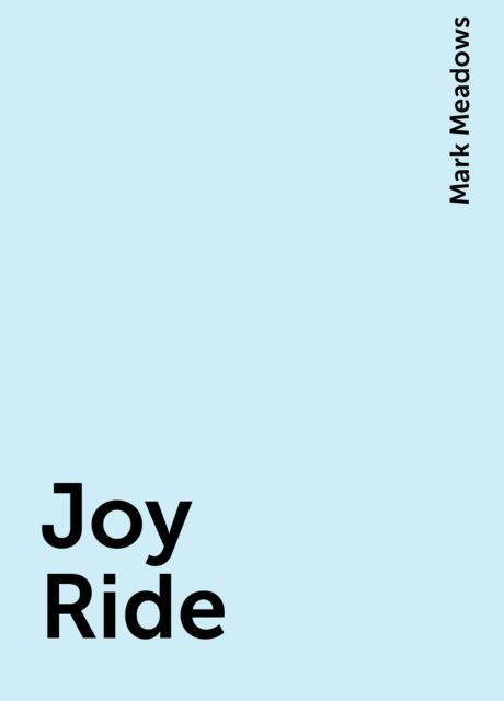 Joy Ride, Mark Meadows