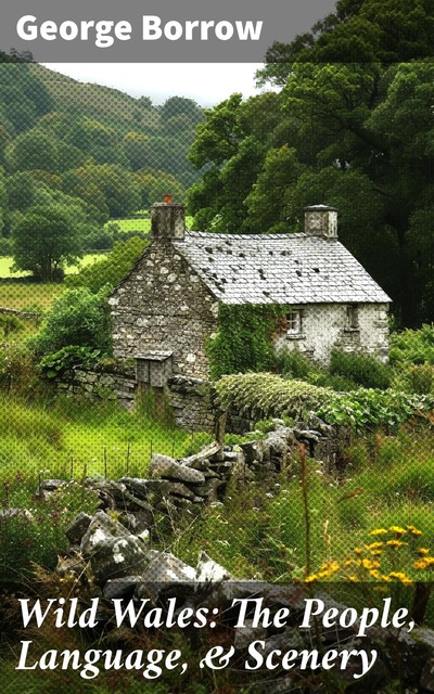 Wild Wales: The People, Language, & Scenery, George Borrow