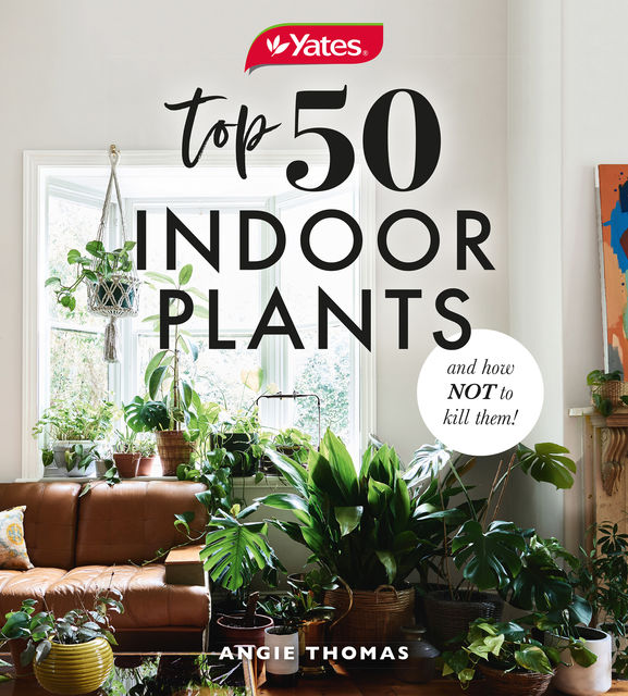 50 Indoor Plants And How Not To Kill Them, Angie Thomas, Yates Australia