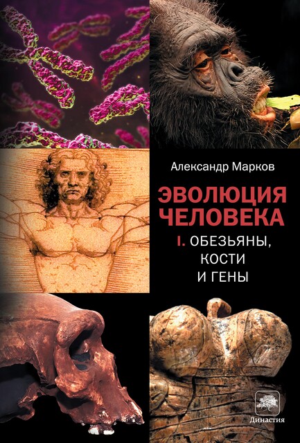 Эволюция человека. Книга 1. Обезьяны, кости и гены, Александр Владимирович Марков