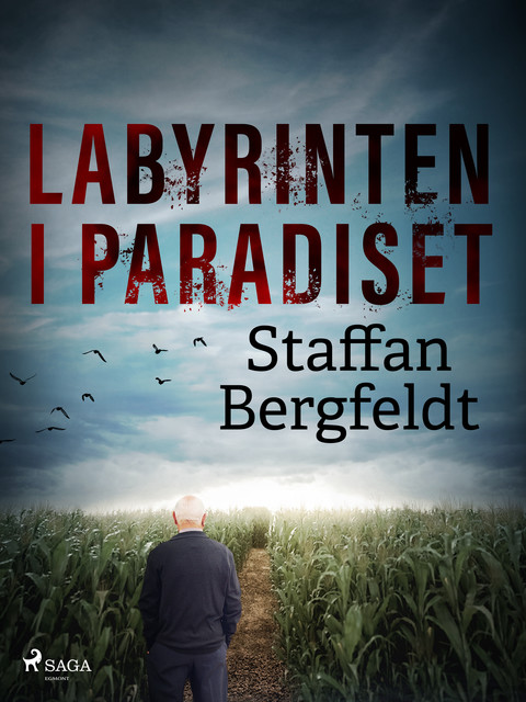 Labyrinten i paradiset, Staffan Bergfeldt