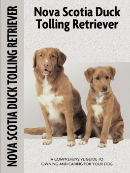 Nova Scotia Duck Tolling Retriever, Nona Kilgore Bauer