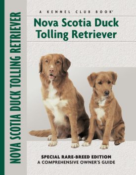 Nova Scotia Duck Tolling Retriever, Nona Kilgore Bauer