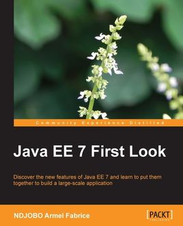 Java EE 7 First Look, NDJOBO Armel Fabrice