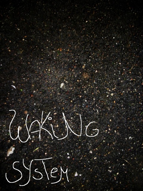 Waking System, null KreaRe