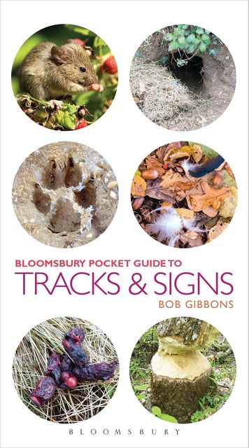 Pocket Guide To Tracks & Signs, Gerard Gorman