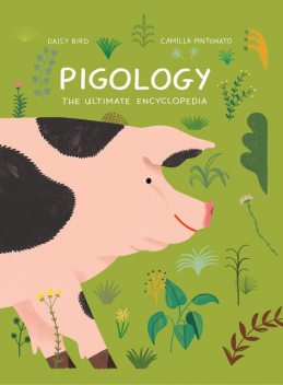 Pigology, Camilla Pintonato, Daisy Bird