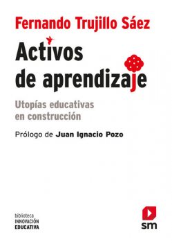 Activos de aprendizaje, Fernando Sáez