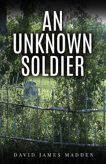 An Unknown Soldier, David Madden