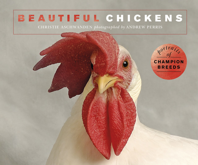 Beautiful Chickens, Christie Aschwanden