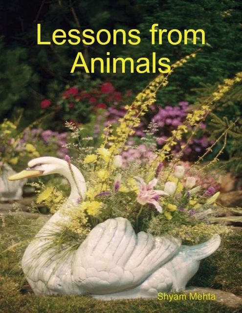 Lessons from Animals, Shyam Mehta