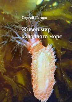 Живой мир холодного моря, Сергей Гагаев