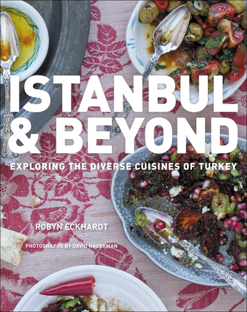 Istanbul and Beyond, Robyn Eckhardt