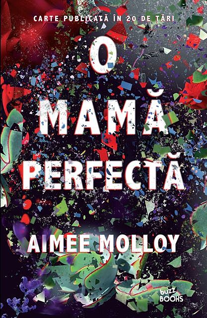 O mamă perfectă, Aimee Molloy