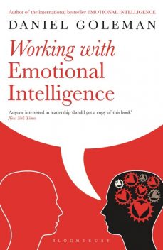 Working with Emotional Intelligence, Daniel Goleman