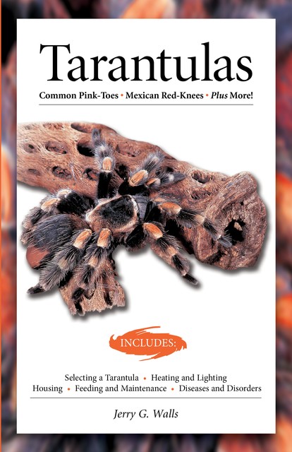 Tarantulas (Advanced Vivarium Systems), Jerry G. Walls