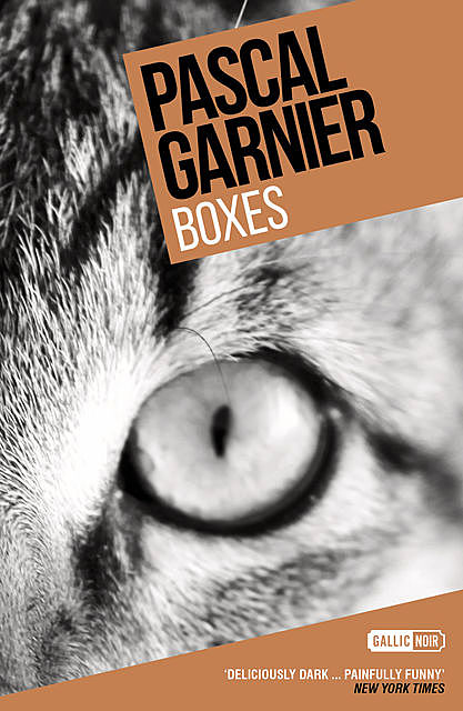 Boxes, Pascal Garnier