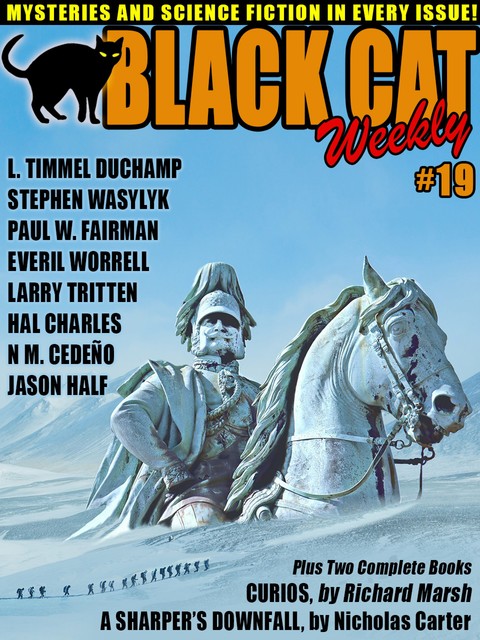 Black Cat Weekly #19, Wildside Press