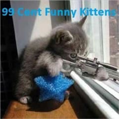 99 Cent Funny Kittens, 99 Cent eBooks