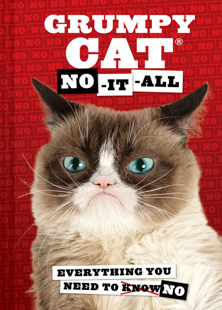 Grumpy Cat: No-It-All, Grumpy Cat