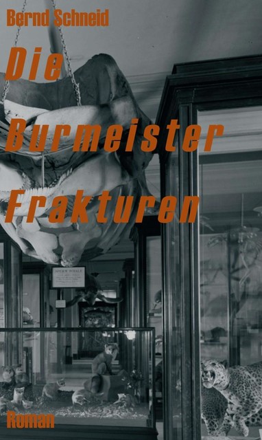 Die Burmeister Frakturen, Bernd Schneid