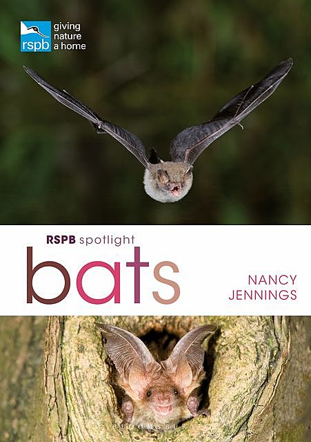 RSPB Spotlight Bats, Nancy Jennings