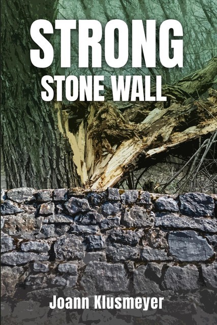 Strong Stone Walls, Joann Klusmeyer