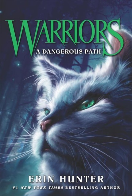 Warriors #5: A Dangerous Path, Erin Hunter
