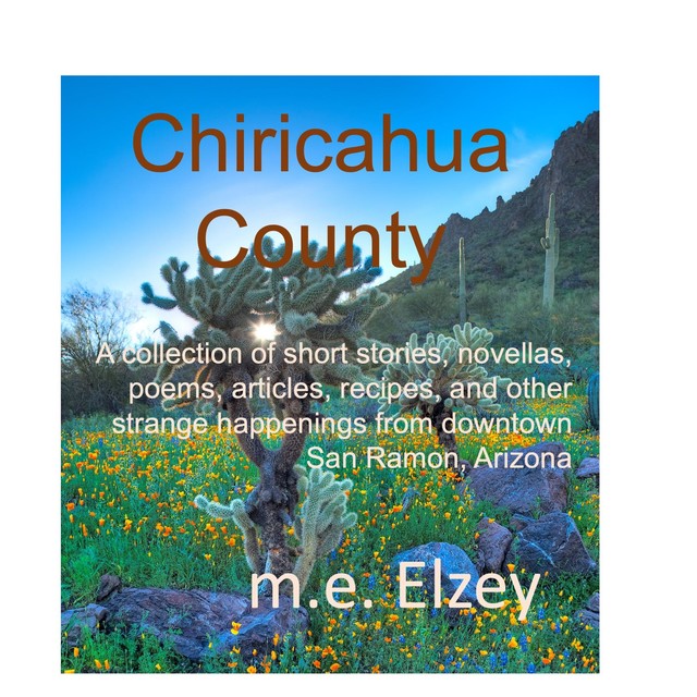 Chiricahua County, m.e. Elzey