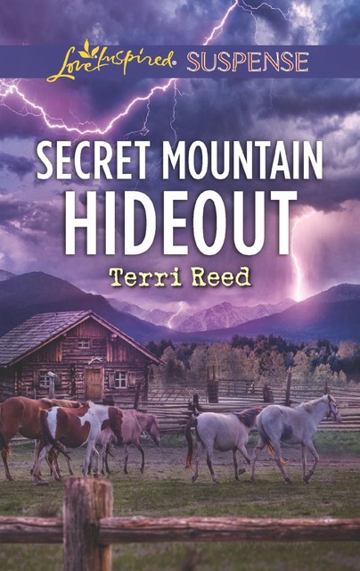 Secret Mountain Hideout, Terri Reed