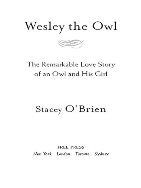 Wesley the Owl, Stacey O'Brien