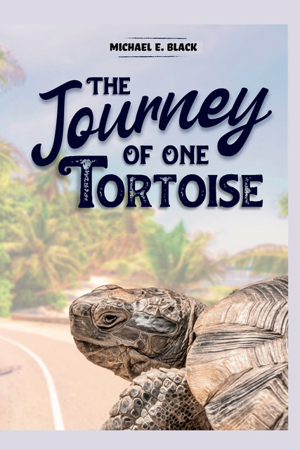 The Journey of One Tortoise, Michael Ian Black