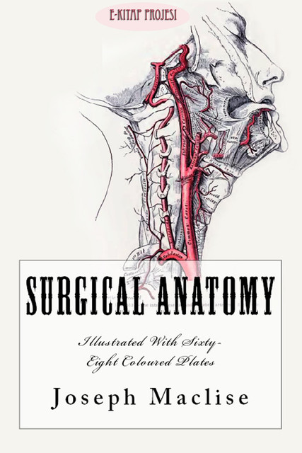 Surgical Anatomy, Joseph Maclise