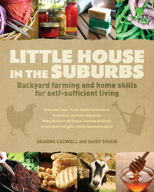 Little House in the Suburbs, Daisy Siskins, Deanna Caswell
