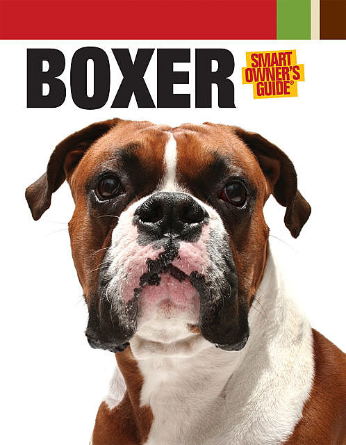 Boxer, Dog Fancy Magazine