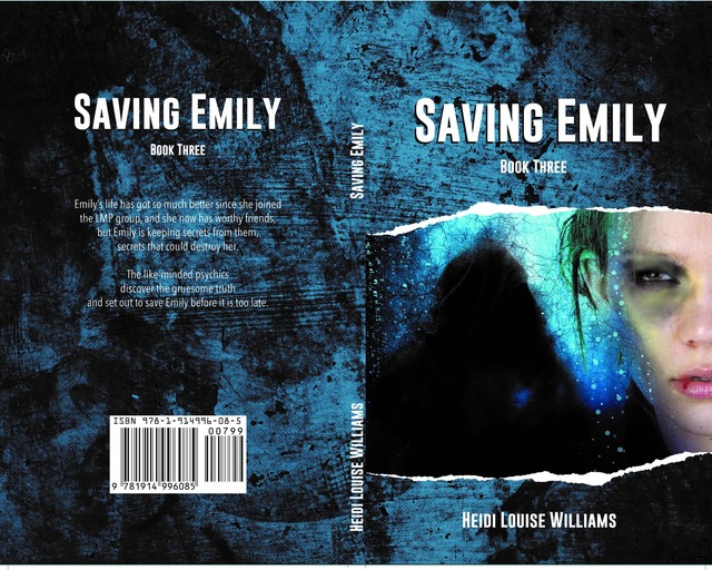 SAVING EMILY, Heidi Williams