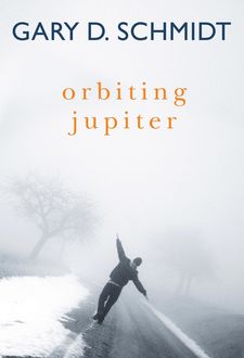 Orbiting Jupiter, Gary Schmidt