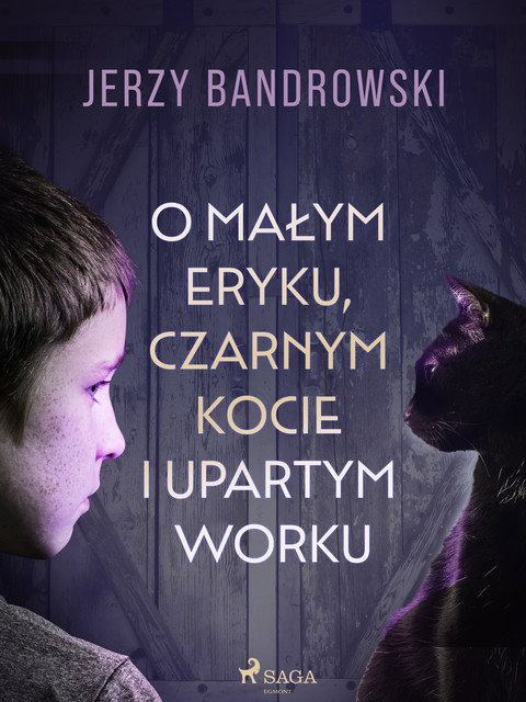 O małym Eryku, czarnym kocie i upartym worku, Jerzy Bandrowski