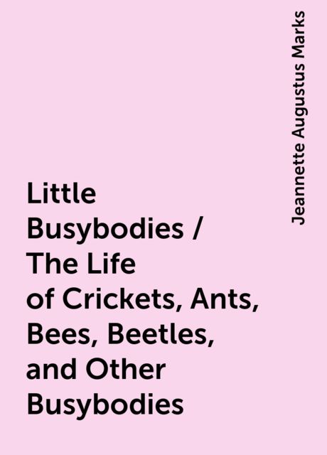 Little Busybodies / The Life of Crickets, Ants, Bees, Beetles, and Other Busybodies, Jeannette Augustus Marks