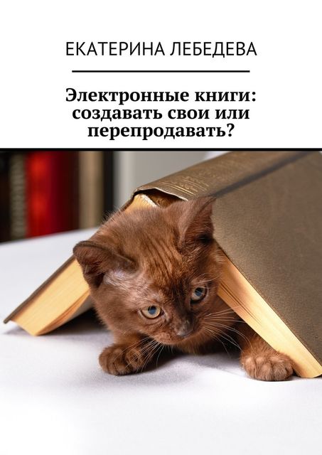 Электронные книги: создавать свои или перепродавать, Екатерина Лебедева