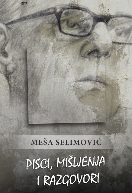 Pisci, mišljenja i razgovori, Meša Selimović